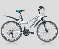Forward TWISTER 587 24"