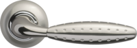 Dorado