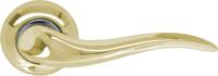 Andromeda