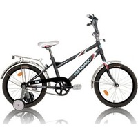 Forward ACTIVE 161 16"
