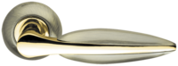Lacerta